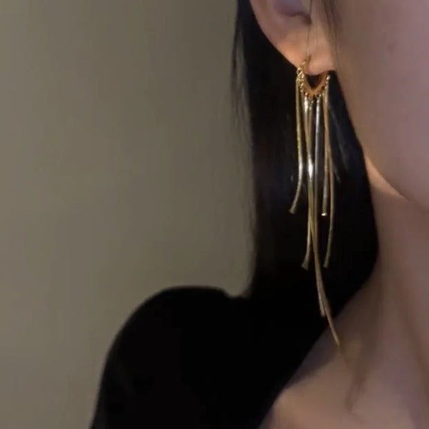 Long tassel earrings