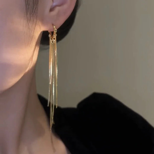 Long tassel earrings